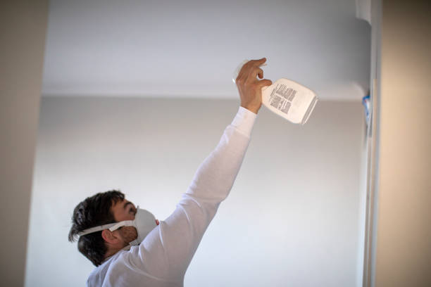 Best Office Mold Removal Services  in Del Mar, CA